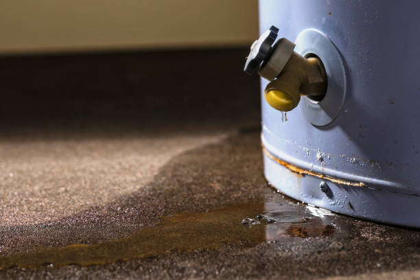 Best Water damage restoration near me  in Webster, SD