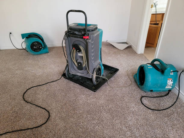 Best Fire Damage Restoration  in Webster, SD
