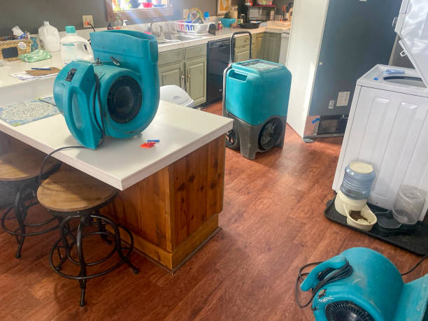 Best Water damage restoration cost  in Webster, SD