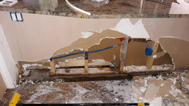 Best Water damage restoration specialists  in Webster, SD