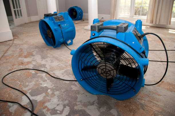 Best Sewage cleanup and water damage restoration  in Webster, SD