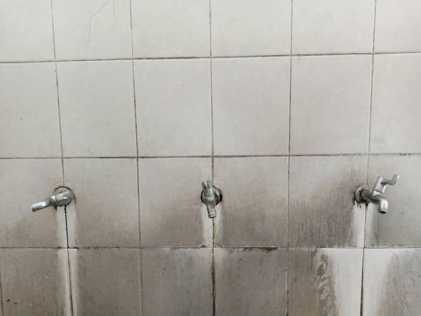 Best Flood restoration services  in Webster, SD