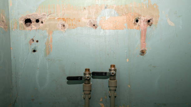 Best Professional water damage repair  in Webster, SD