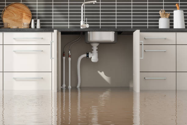 Best Water damage cleanup near me  in Webster, SD