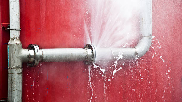 Best Flood damage cleanup  in Webster, SD